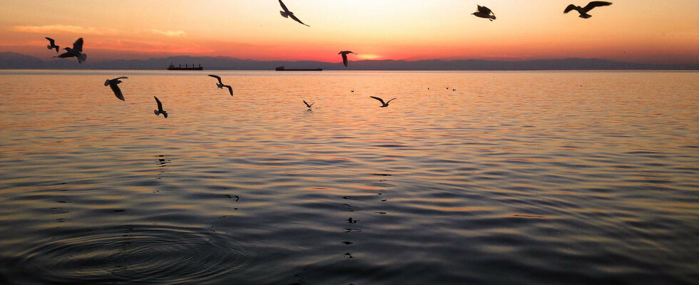 Test Image