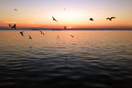 Test Image